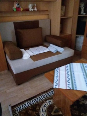 Apartament Nicoleta